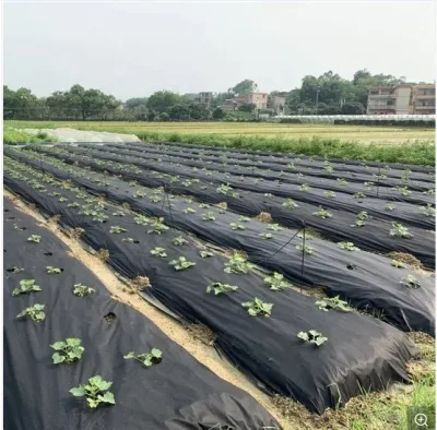 Anti-UV-Pflanzenabdeckungs-Gartenstoff aus PP-Landwirtschaftsvliesstoff